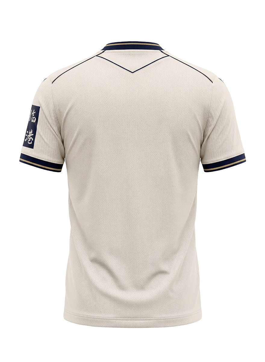 Trikot Hoffenheim II 26/27
