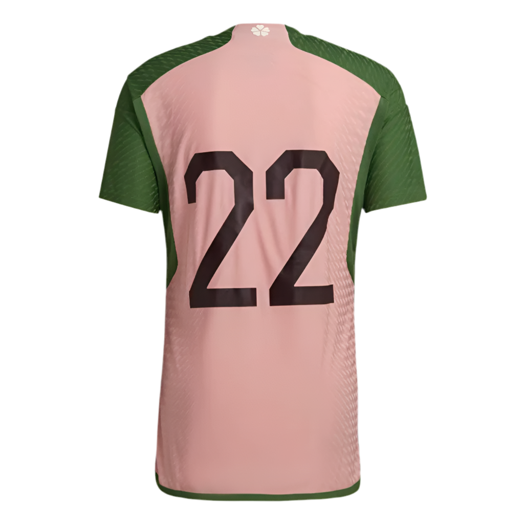 Trikot Selection Japan x Nigo 2023