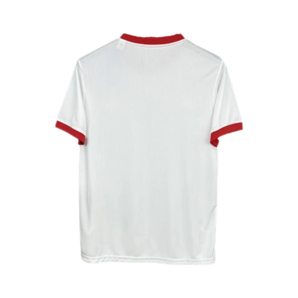 Trikot Benfica Special Edition - 25/26