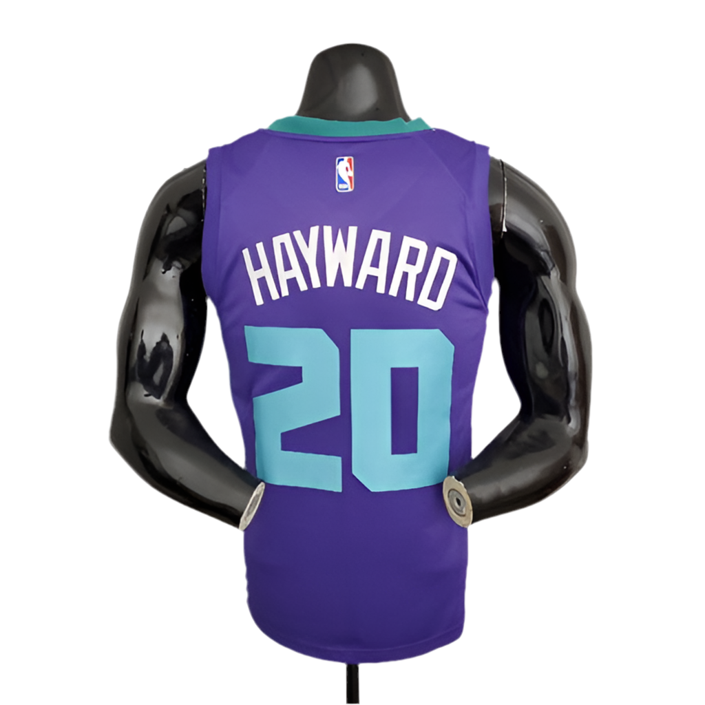 NBA Charlotte Hornets