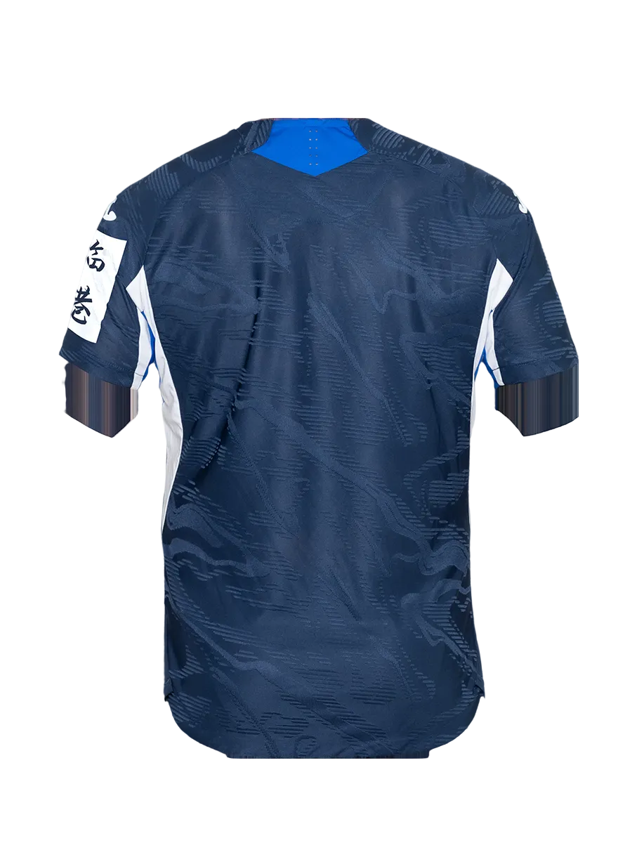 Trikot Hoffenheim I 25/26