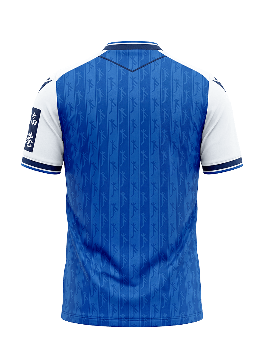 Trikot Hoffenheim 26/27