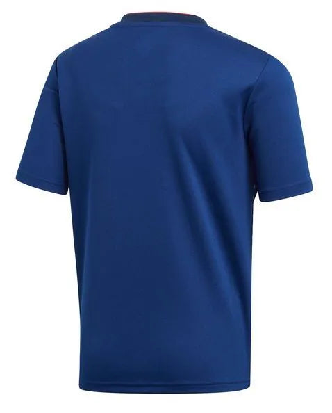 Trikot Selection Japan 2019